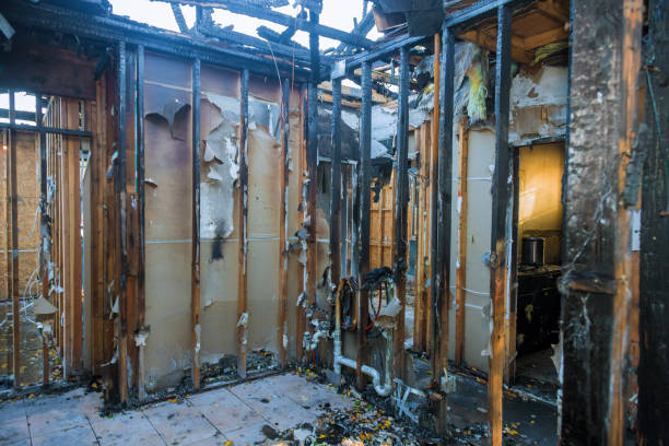Professional Fire Damage Removal technician working in Arthur, IL